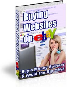 Buying Websites on eBay